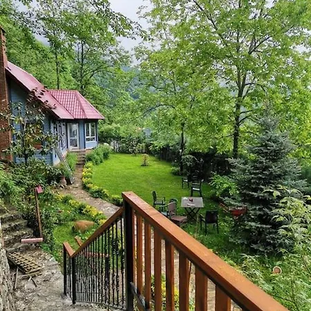 Chalet Ormanin Icinde Modern Ahsap Agac Ev