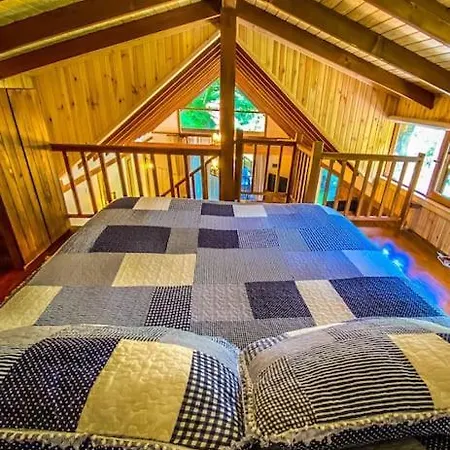 Ormanin Icinde Modern Ahsap Agac Ev Chalet