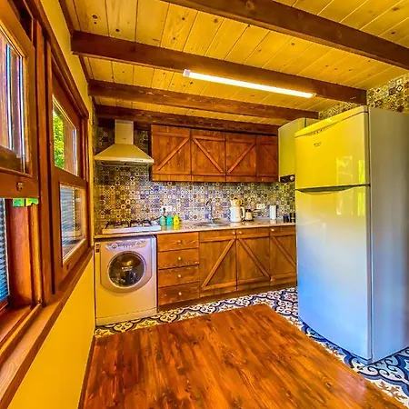 Chalet Ormanin Icinde Modern Ahsap Agac Ev Sapanca