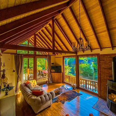 Chalet Ormanin Icinde Modern Ahsap Agac Ev Sapanca