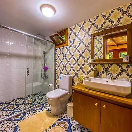 Ormanin Icinde Modern Ahsap Agac Ev Chalet Sapanca